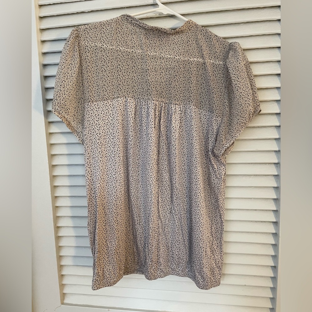Ann Taylor Sheer Blouse with Black Dots - Picture 4 of 4